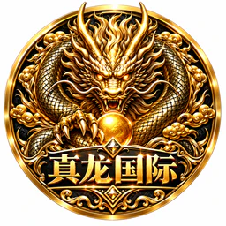 真龙国际